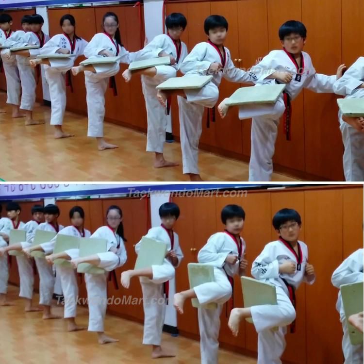 Taekwondo Flying Board