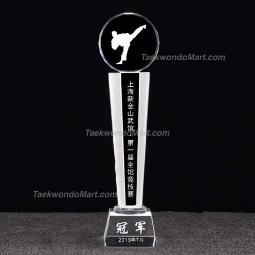 Taekwondo Award Trophy